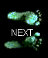 feet-pb.jpg (1427 bytes)
