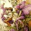 fairy.jpg (3415 bytes)