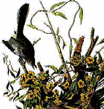 mock-1.GIF (20969 bytes)