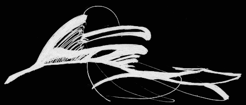 bird-b.GIF (26839 bytes)