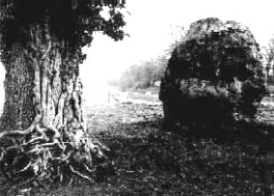 camp-3.jpg (17384 bytes)